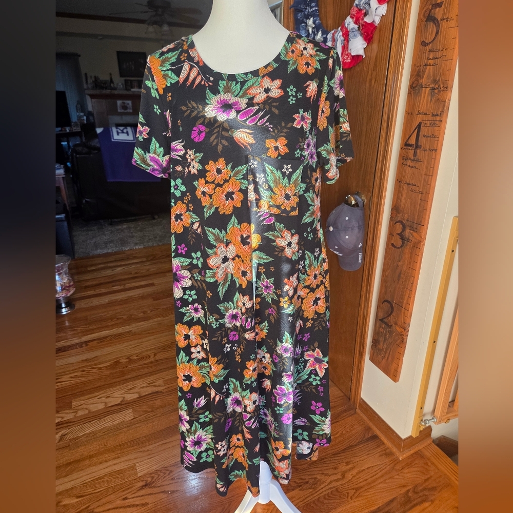 LuLaRoe Carly Dress